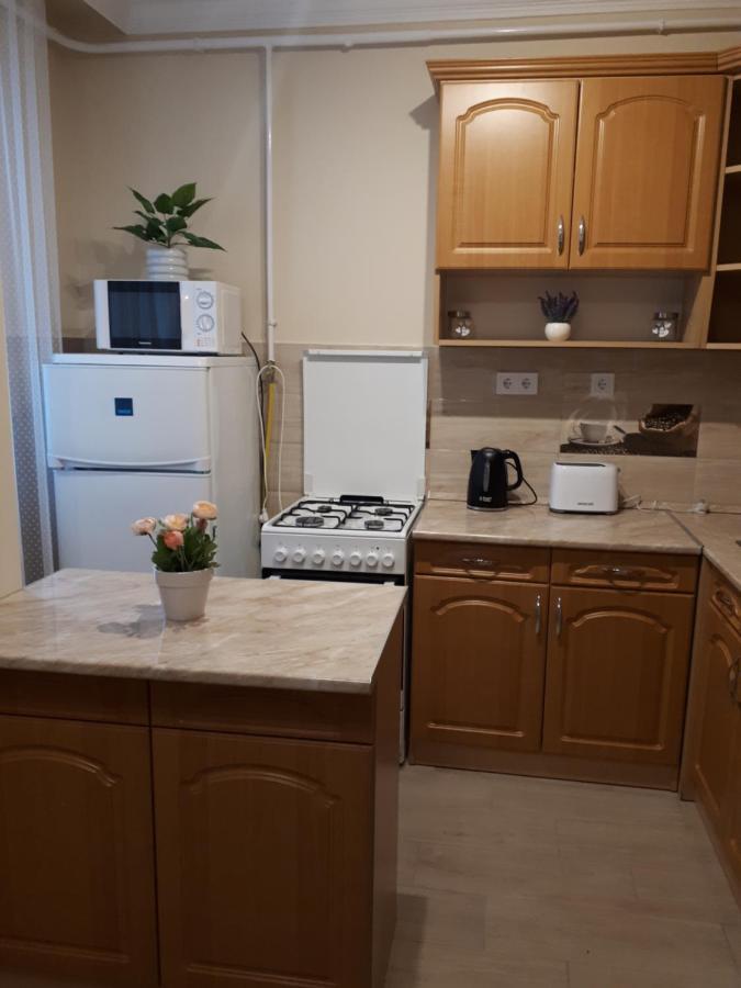 Katalin Apartman Hajdúszoboszló Dış mekan fotoğraf